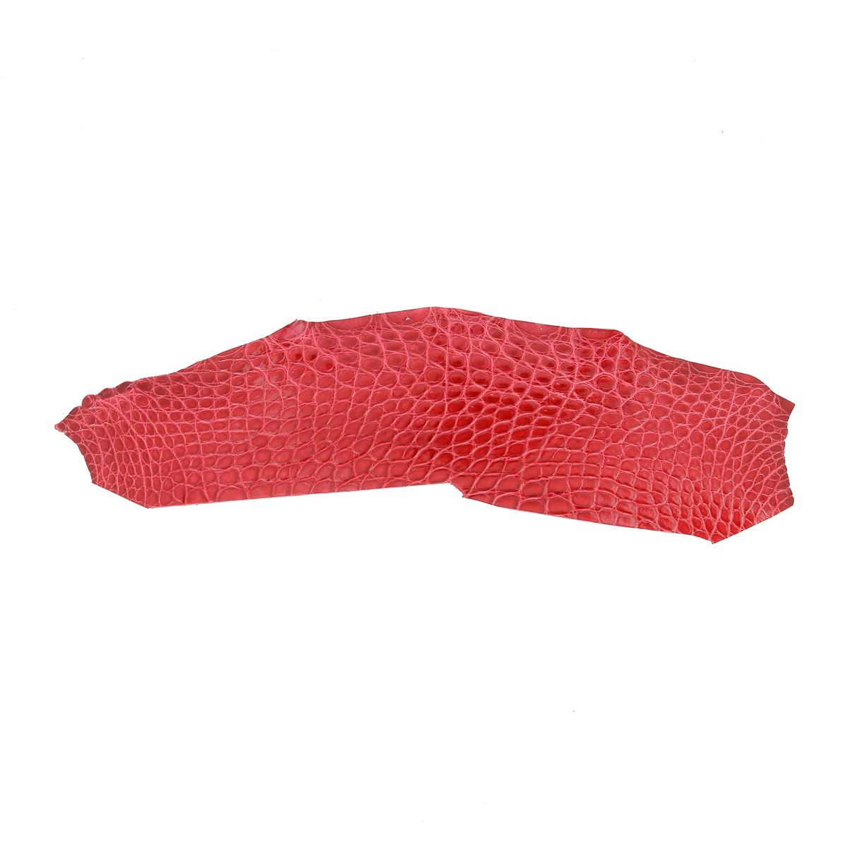 Morcel de cuir d'alligator brillant rouge, texture lisse et luxueuse, destiné à la confection de produits haut de gamme.