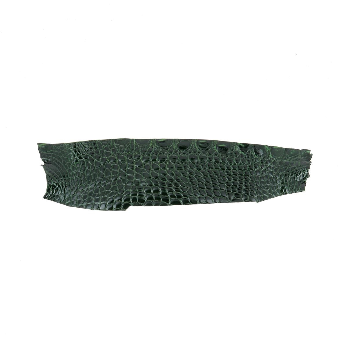 Découpe de flanc d'Alligator brillant - VERT BOUTEILLE