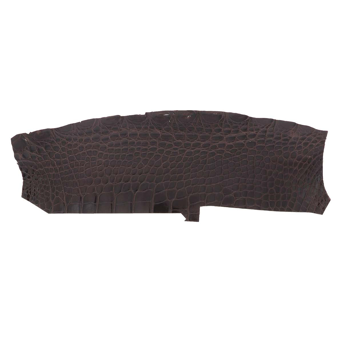 Morceau de cuir d’alligator brillant marron foncé, texture lisse et élégante, utilisé pour la maroquinerie ou la couture.
