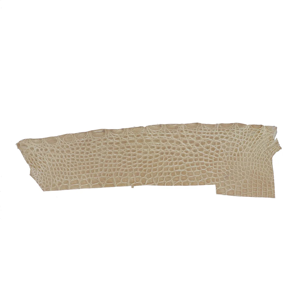 Cuir d'alligator beige praline. Flanc de cuir exotique idéal pour la création de bijoux, bracelet de montre, porte-clés, petite maroquinerie...