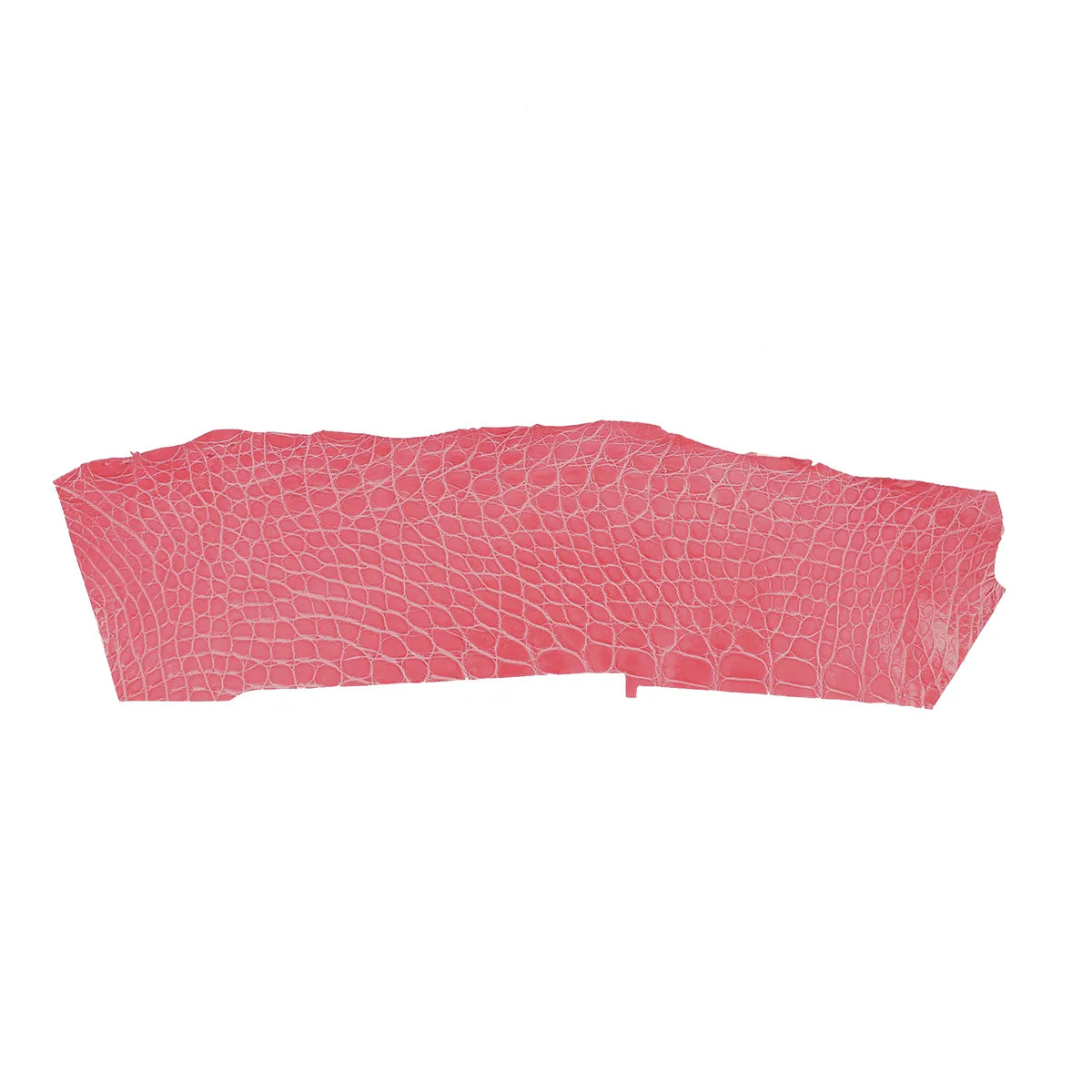 Flanc de cuir d'alligator rose framboise brillant, idéal pour la conception de maroquinerie et accessoire