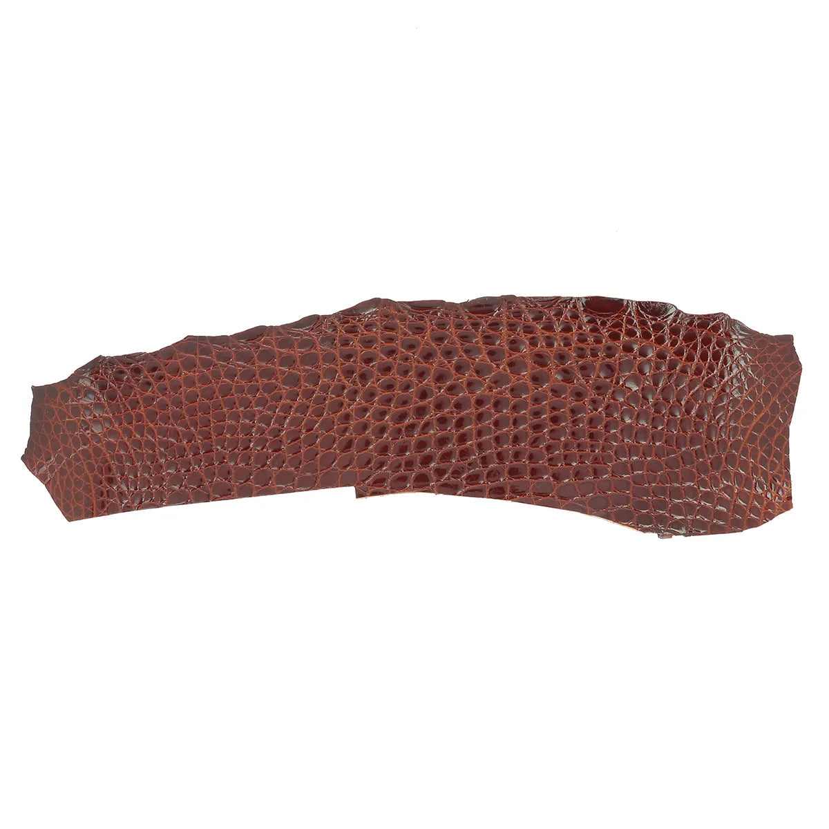 Cuir exotique marron acajou finition brillante. Peau d'alligator ferme pour création de bijoux, bracelet de montre...