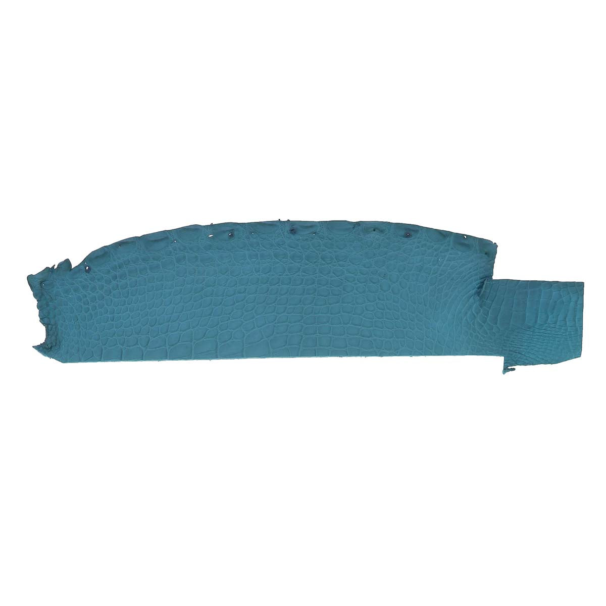 Morceaux de cuir d'alligator mat bleu turquoise, flanc de cuir autentique pour créations de maroquinerie ou accessoires.