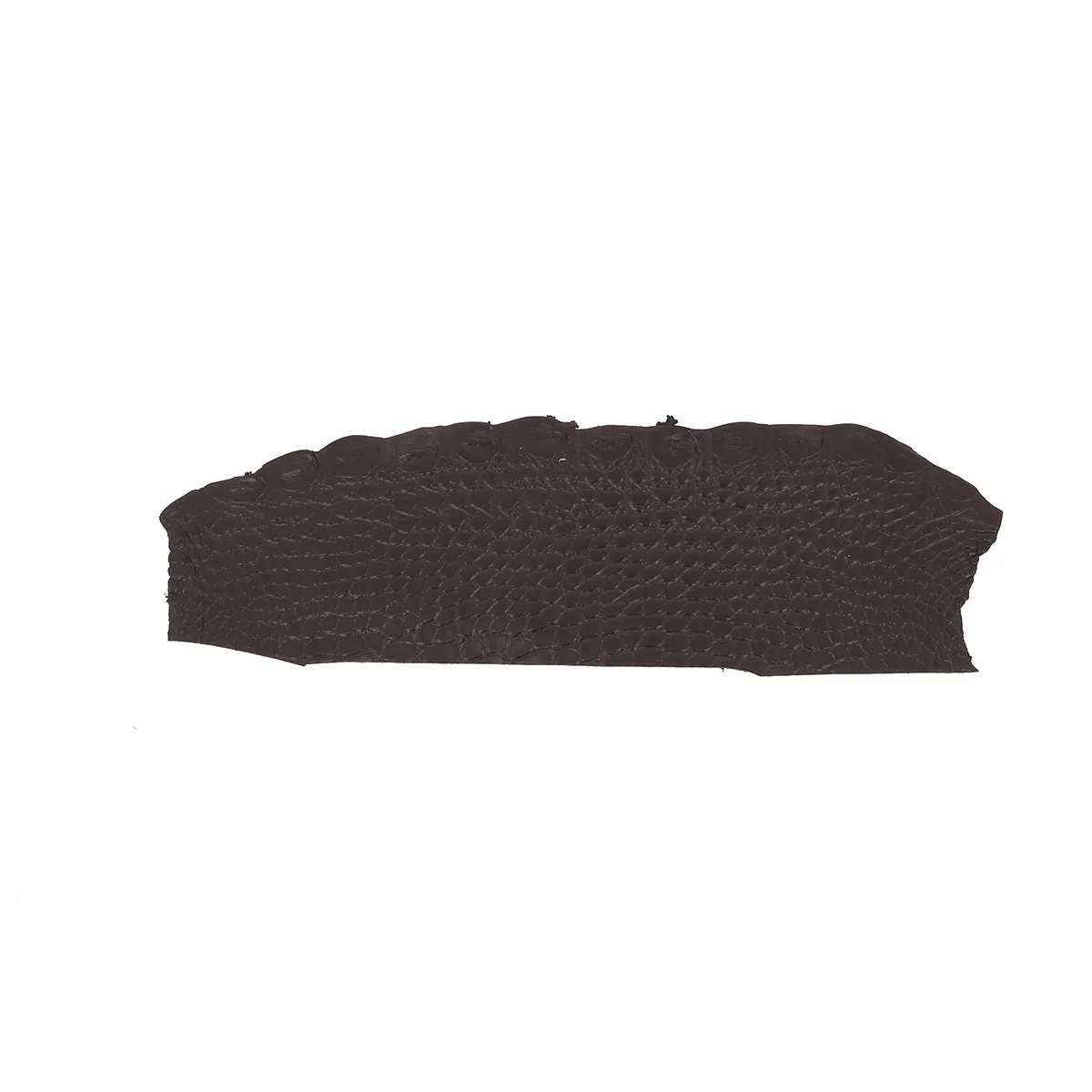 Morceau de cuir d'alligator marron foncé finition mate. Flanc d'alligator pour fabrication de bijoux, bracelet de montre, porte-clés, petite maroquinerie...