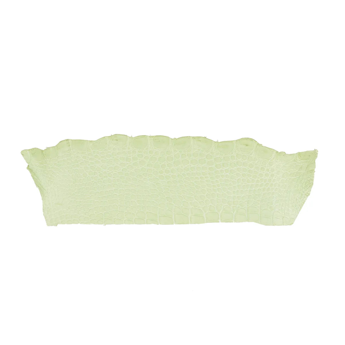Cuir de crocodile vert clair en finition mate. Cuir d'alligator idéal pour créer des bijoux, bracelets de montre, maroquinerie...