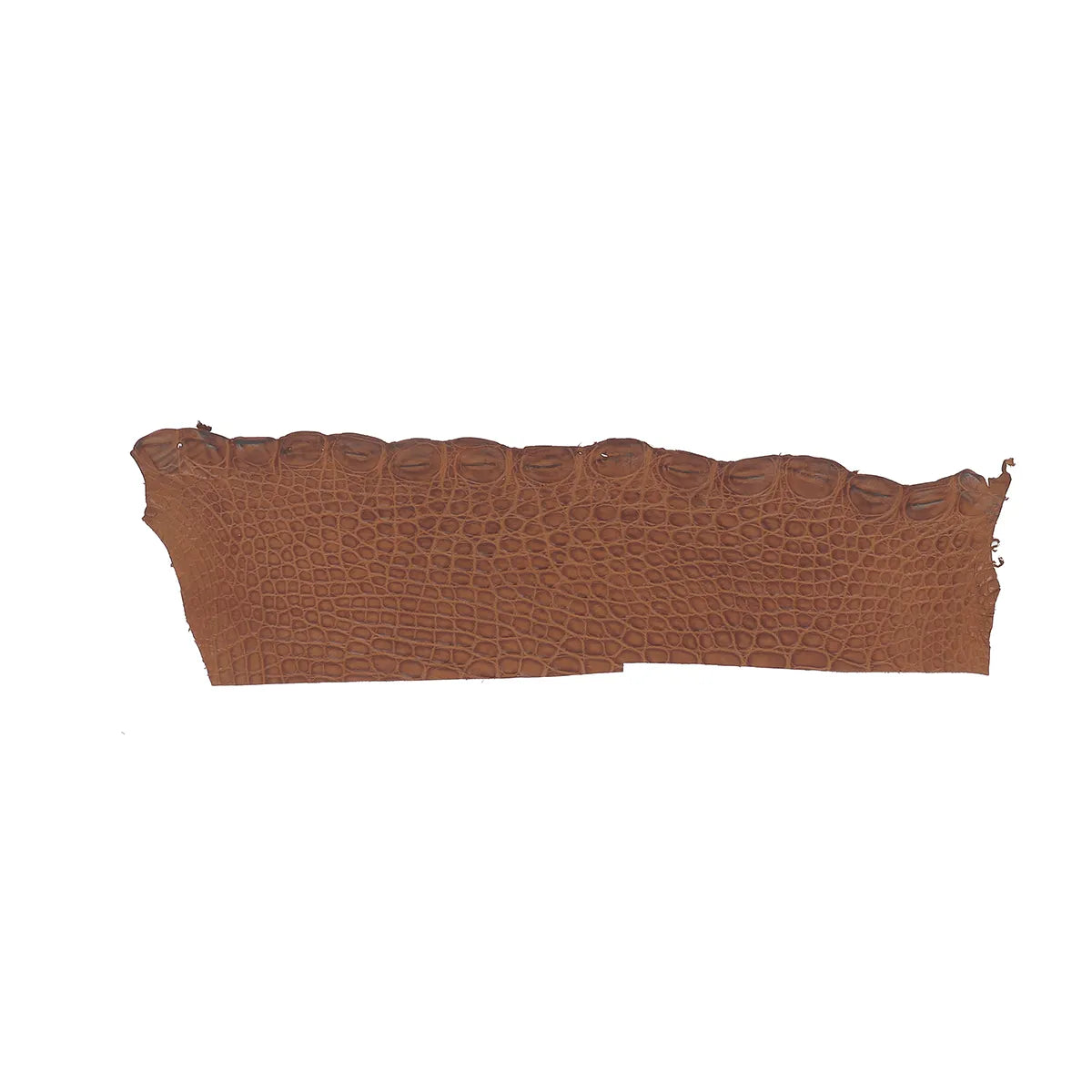 Flanc de cuir d'alligator marron brique. Cuir d'alligator pour la fabrication de bijoux, bracelet de montre, porte-clés et petite maroquinerie