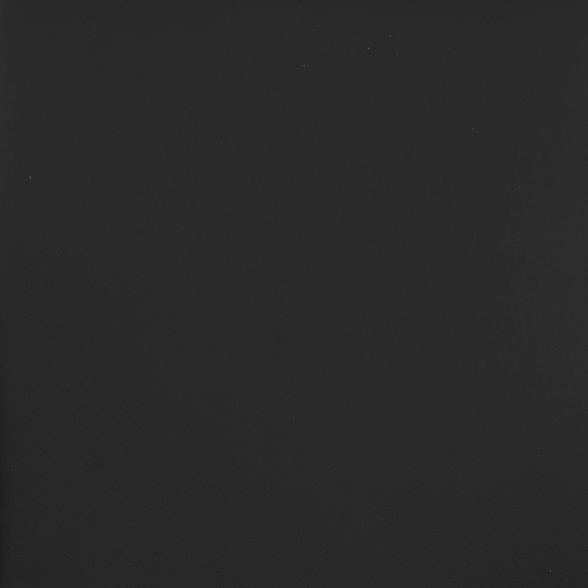 Morceau de cuir de vachette noir, lisse et ferme, pour projets de maroquinerie ou couture, par la marque Autres.