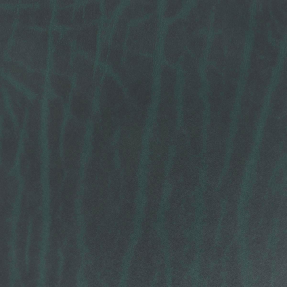 Morceau de cuir de collet végétal Sauvage vert, artisanat, texture naturelle, cuir tanné végétal, utilisé pour la maroquinerie.