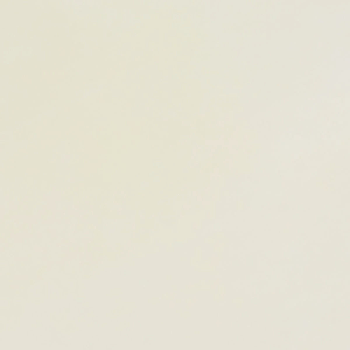 Feuille de parchemin issu d'un cuir de mouton séché