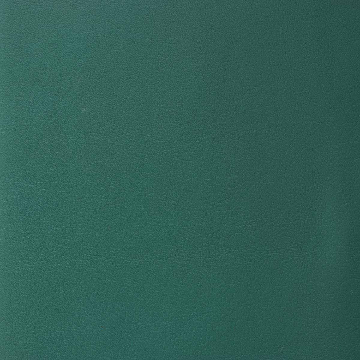 Morceau de cuir vert SWEET 2, tissu en cuir authentique, vue en gros plan, pour artisanat ou couture.