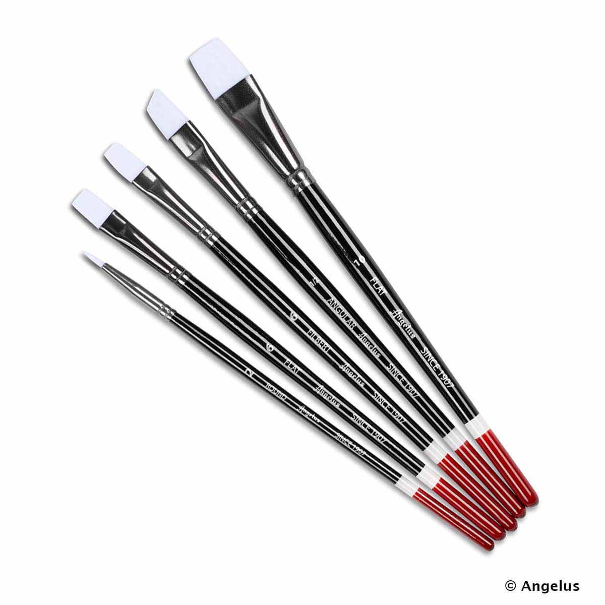 Set de 5 pinceaux Angelus pour teinture et peinture, pinceaux fins et polyvalents pour détails et applications précises.