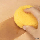 Deux éponges synthétiques rondes de la marque Ivan pour humidifier le cuir, utilisées pour la teinture et la peinture.