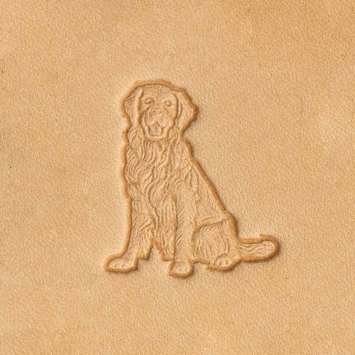 Matoir 3D pour chien Golden Retriever, outil de toilettage, présenté en image avec design détaillé.