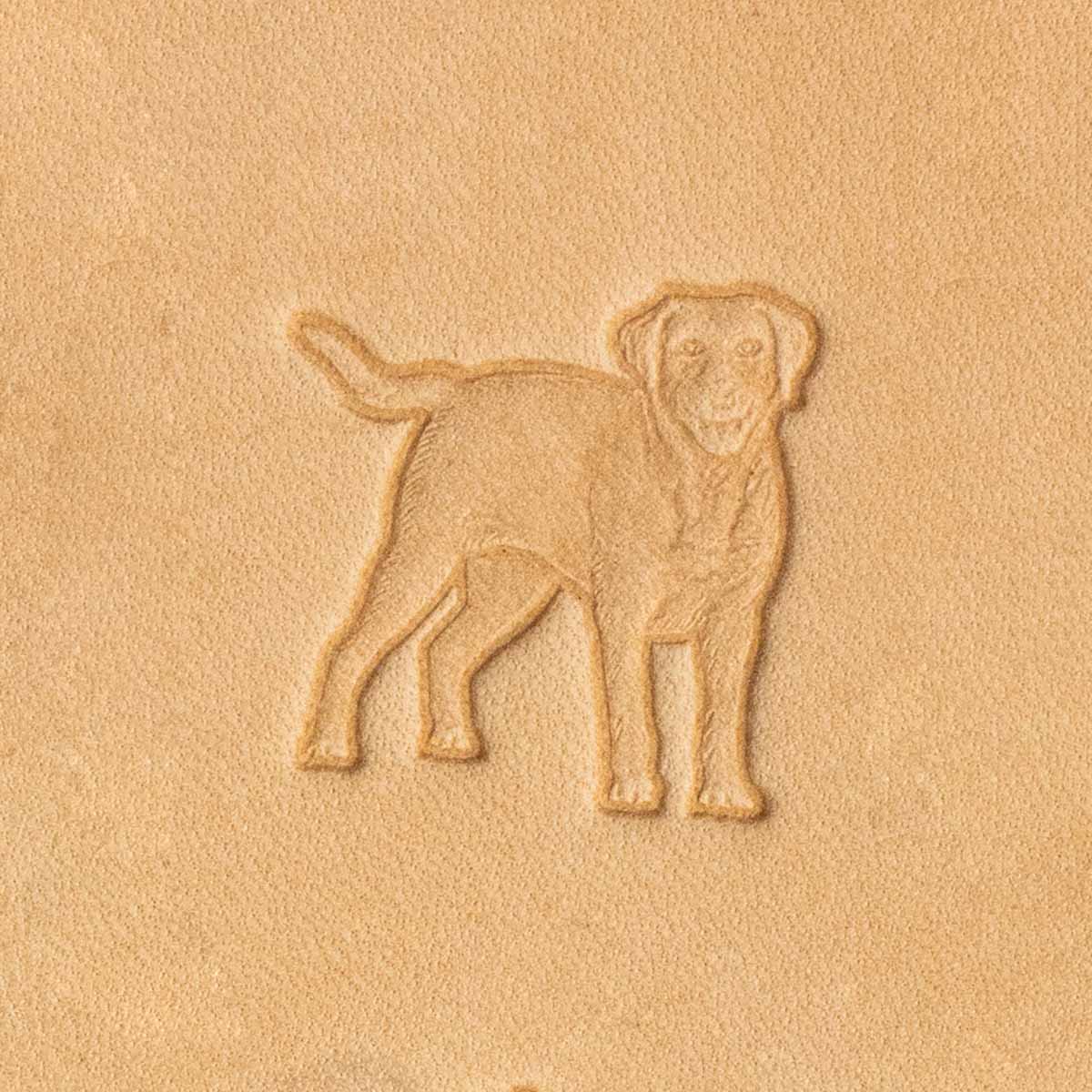 Matoir 3D pour chien Labrador, outil de toilettage robuste, avec design détaillé du chien Labrador.