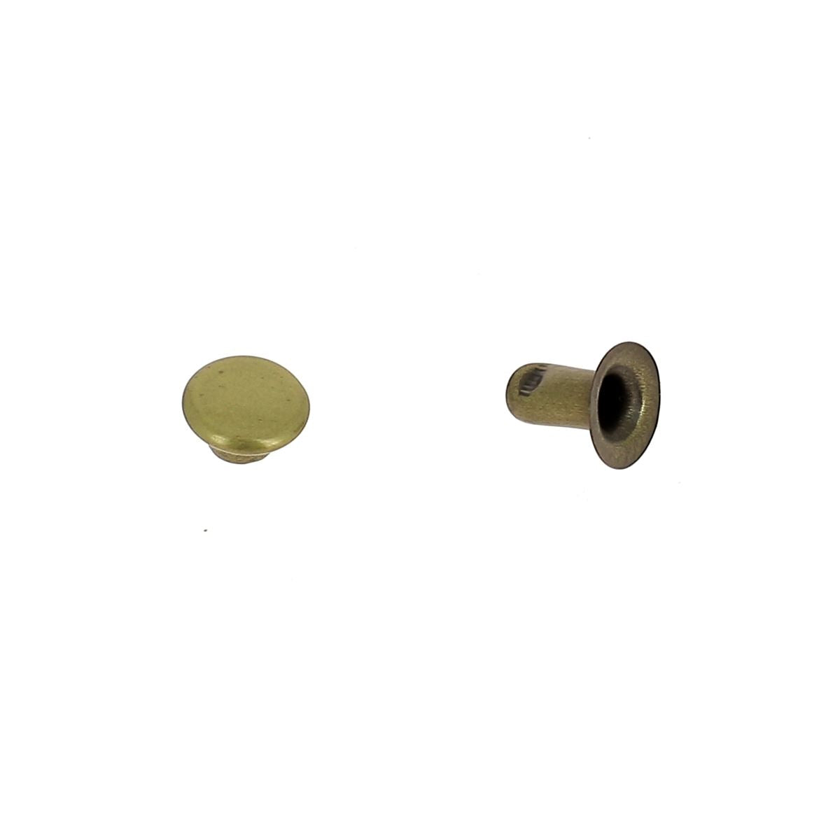 Petits rivets en acier T2,5, lot de 100, accessoires pour fixation ou assemblage, image montrant les rivets simples avec calotte.