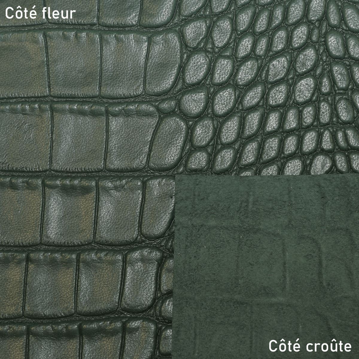 Peau de cuir de basane imitation crocodile verte, aspect réaliste, pour projets de maroquinerie ou décoration, fabriquée en France.