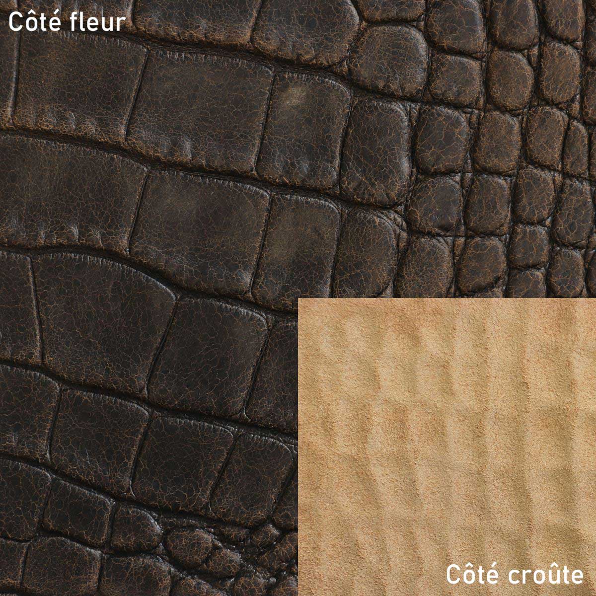 Peau entière de cuir de basane imitation crocodile marron vieilli, texture authentique, pour projets de maroquinerie ou décoration.