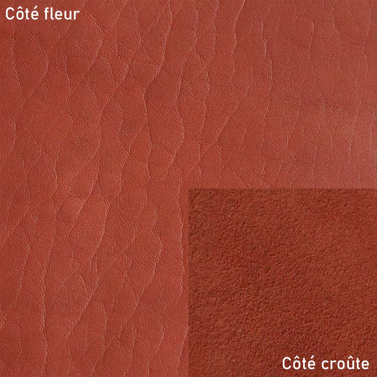Peau entière de cuir de basane rousse, finition aniline, vue détaillée de la texture et de la couleur du cuir France.