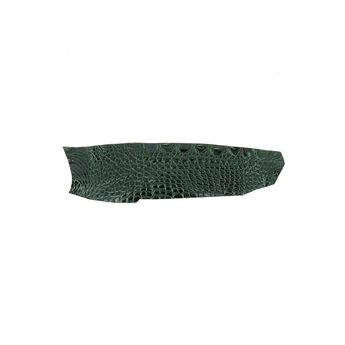 Petite découpe de flanc d'Alligator brillant couleur vert bouteille