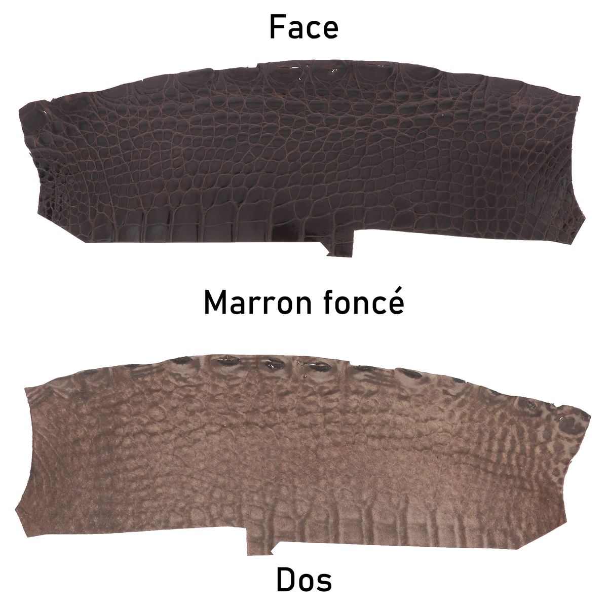 Morceaux de cuir d'alligator brillant marron foncé, texture élégante, utilisé pour la maroquinerie ou la couture de luxe.