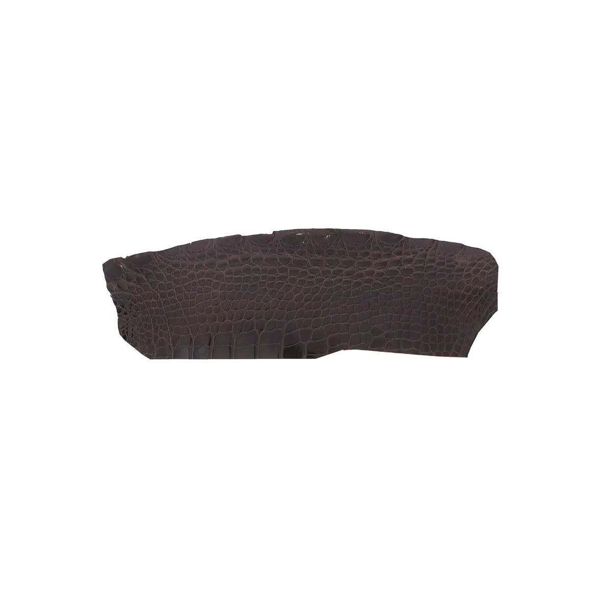 Morceau de cuir d’alligator brillant marron foncé, texture élégante, utilisé pour la maroquinerie ou la bijouterie