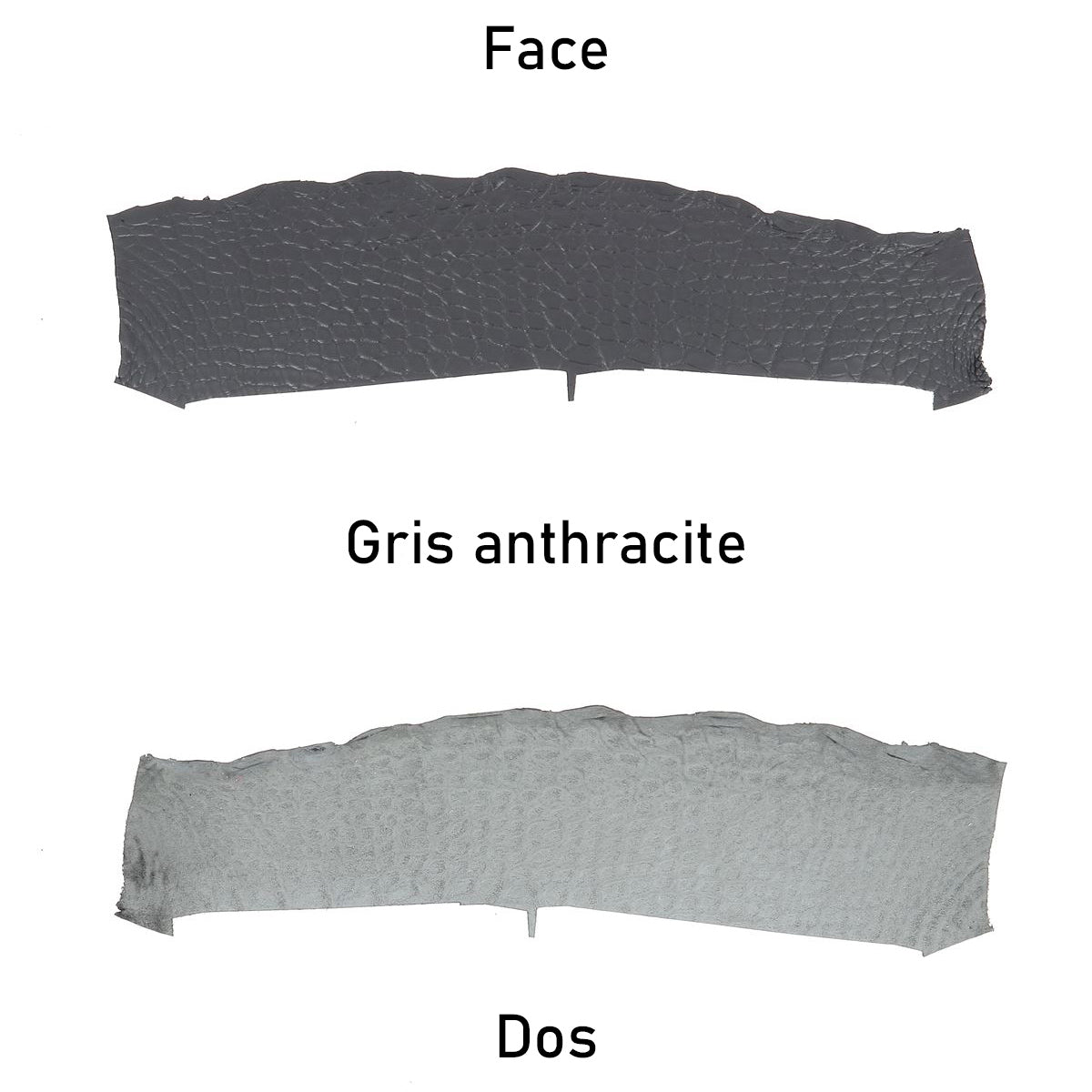Morceaux de cuir d'alligator gris anthracite de haute qualité, flexible, pour accessoires ou maroquinerie, par Autres.