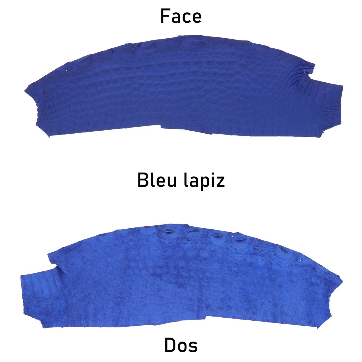 Morceaux de cuir d'alligator mat bleu lapis, flanc en cuir de haute qualité pour projets de maroquinerie ou décoration.