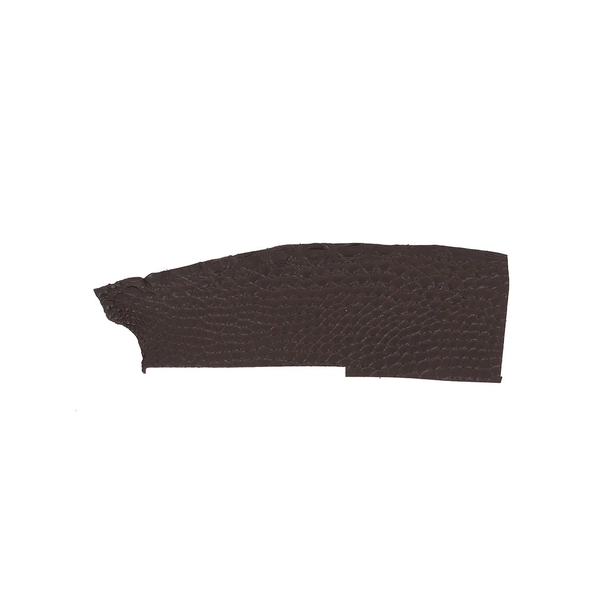 Petit morceau de flanc de cuir d'alligator couleur marron ébène. Cuir d'alligator pour utilisation de bijoux, bracelet de montre, porte-clés, petite maroquinerie