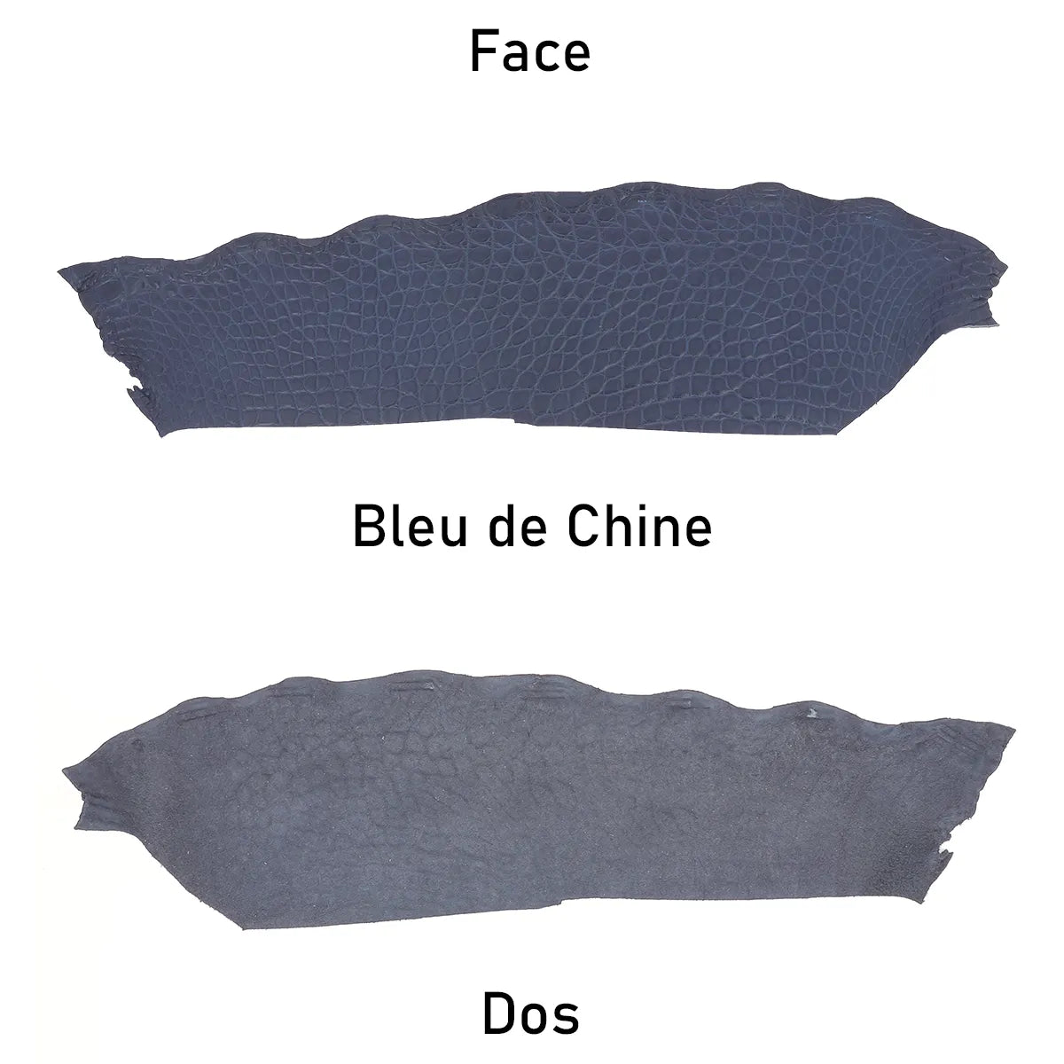 Morceau de cuir d'alligator couleur bleu marine foncé en finition mate.