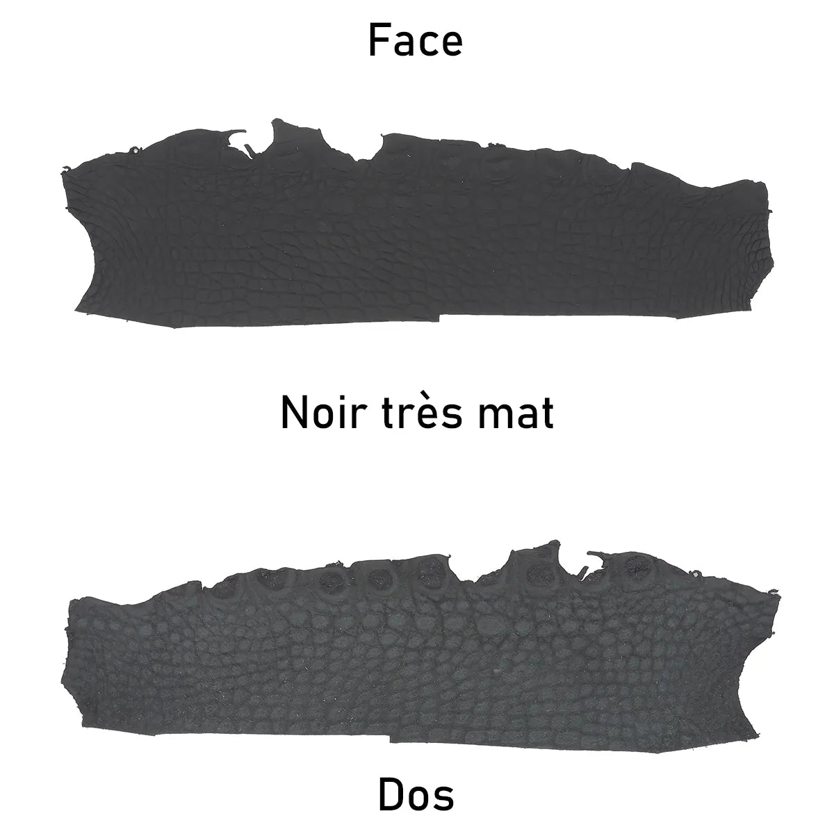Morceau de cuir d'alligator couleur noir finition très mate. Matière ferme avec écailles pour des créations originales.