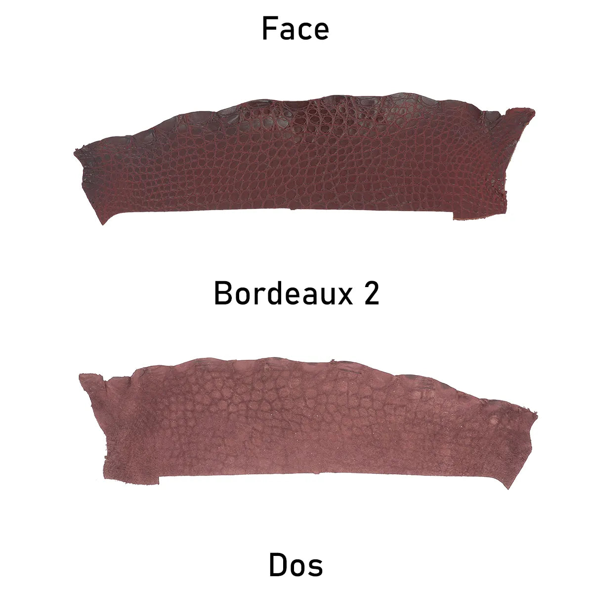 Cuir d'alligator rouge bordeaux finition mate vue de face et de dos. Cuir ferme idéal pour des réalisations originales