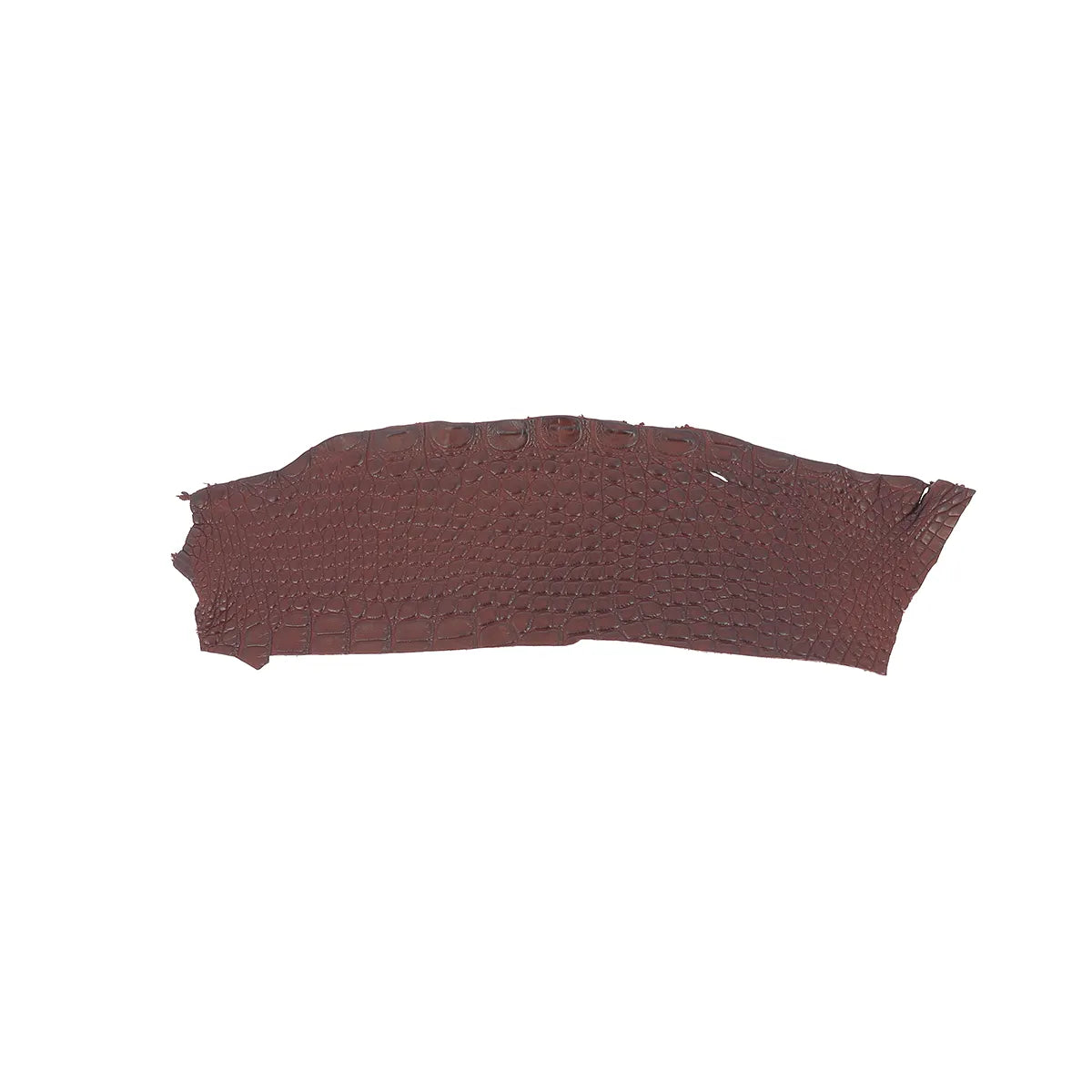 Petite découpe de flanc de cuir d'alligator couleur bordeaux en finition mate