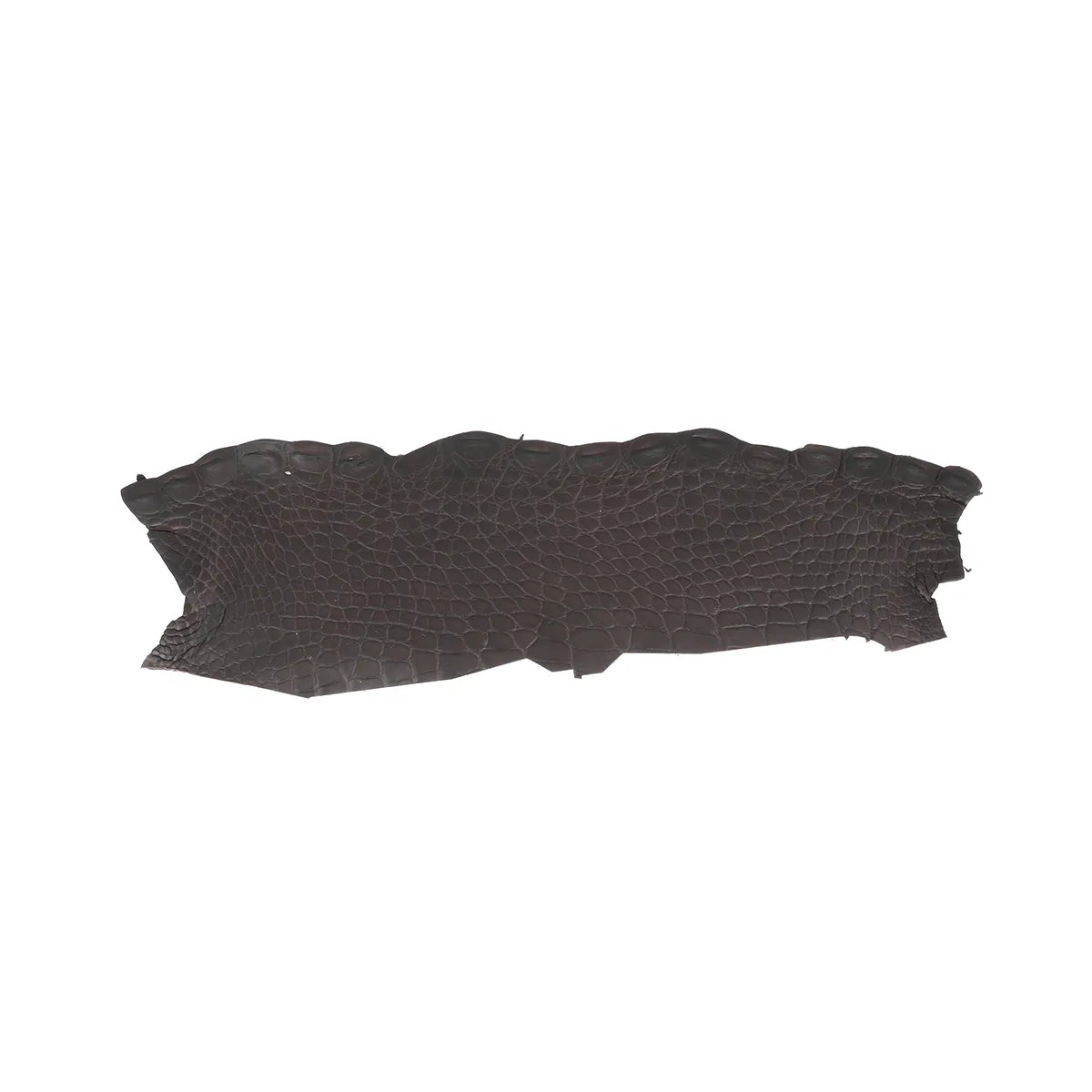 Flanc de cuir d'alligator marron foncé. Cuir d'alligator pour la fabrication de bijoux, bracelet de montre, porte-clés et petite maroquinerie