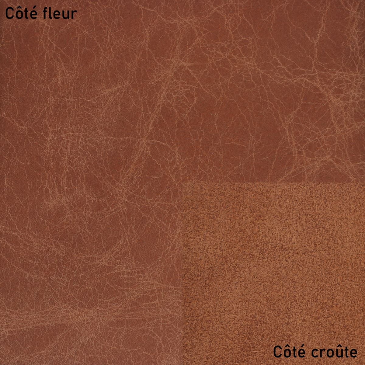 Peau de cuir de vachette pour ameublement CLUB en couleur cognac, texture lisse et élégante, idéale pour la décoration intérieure.