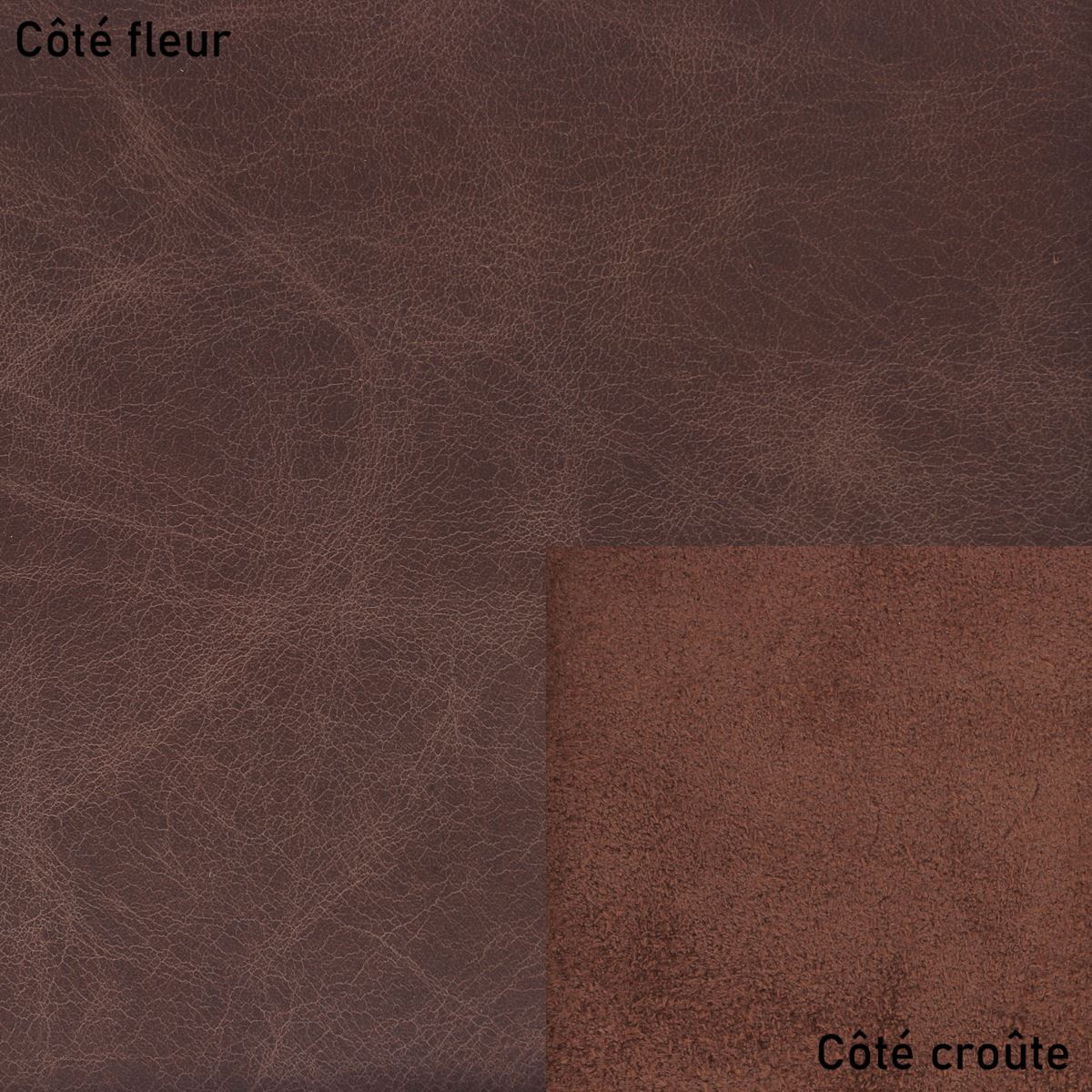 Peau de cuir de vachette Club marron pour ameublement, texture lisse et naturelle, idéale pour meubles et décoration intérieure.