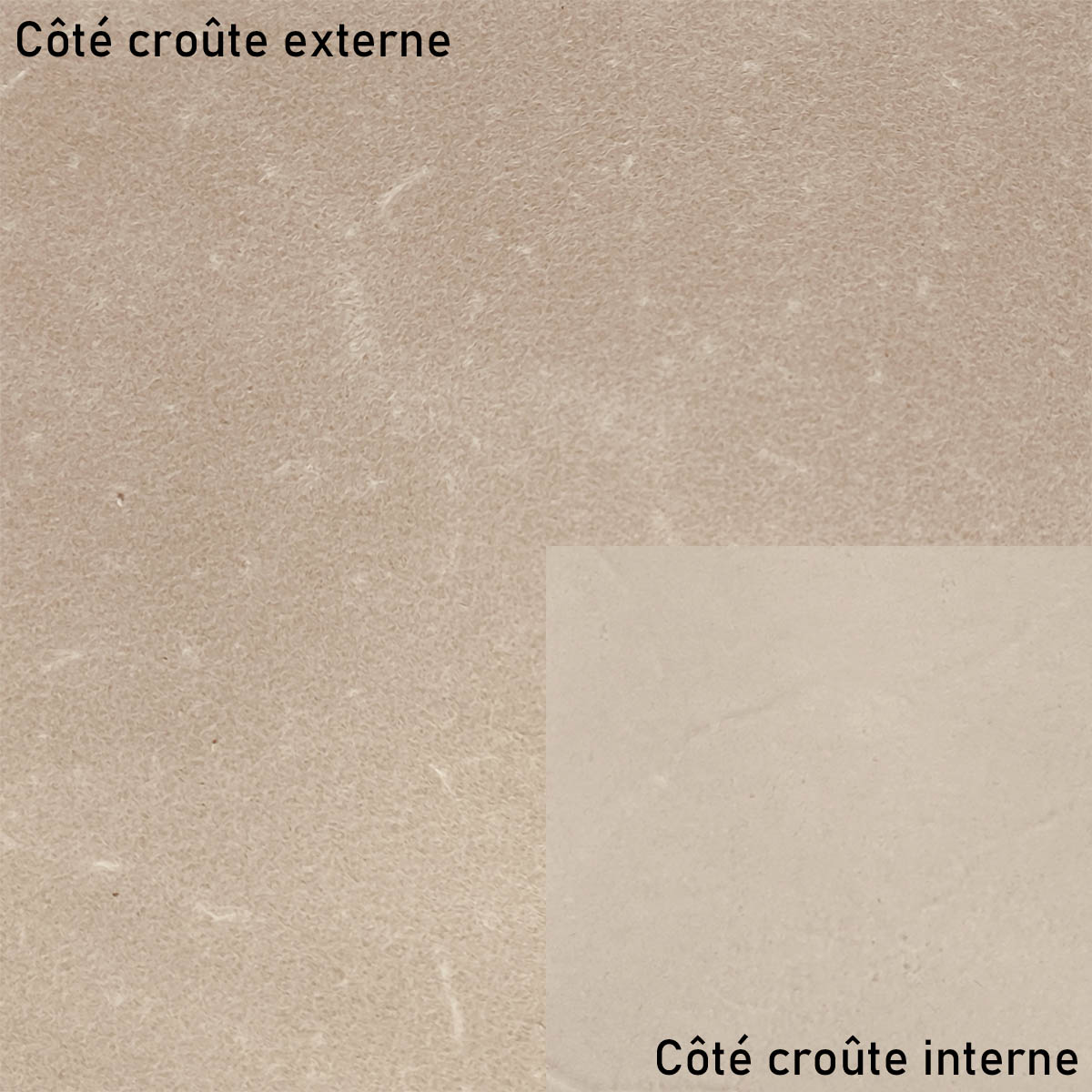Croûte de cuir tannage végétal PYKARA de Radermecker, peaux de cuir naturelles, texture brute et teintée naturellement.