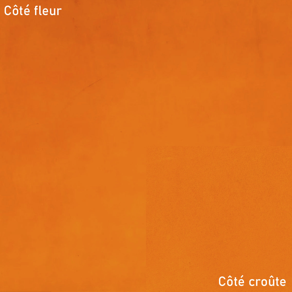Échantillon de cuir végétal NIAGARA Radermecker en teinte cognac, texture lisse et naturelle, pour maroquinerie et accessoires.