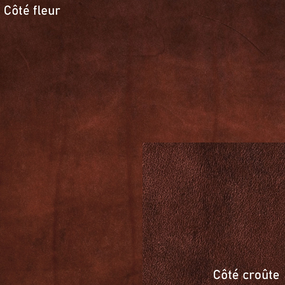 Échantillon de cuir végétal Niagara de Radermecker, texture havane, finition élégante pour projets de maroquinerie ou décoration.