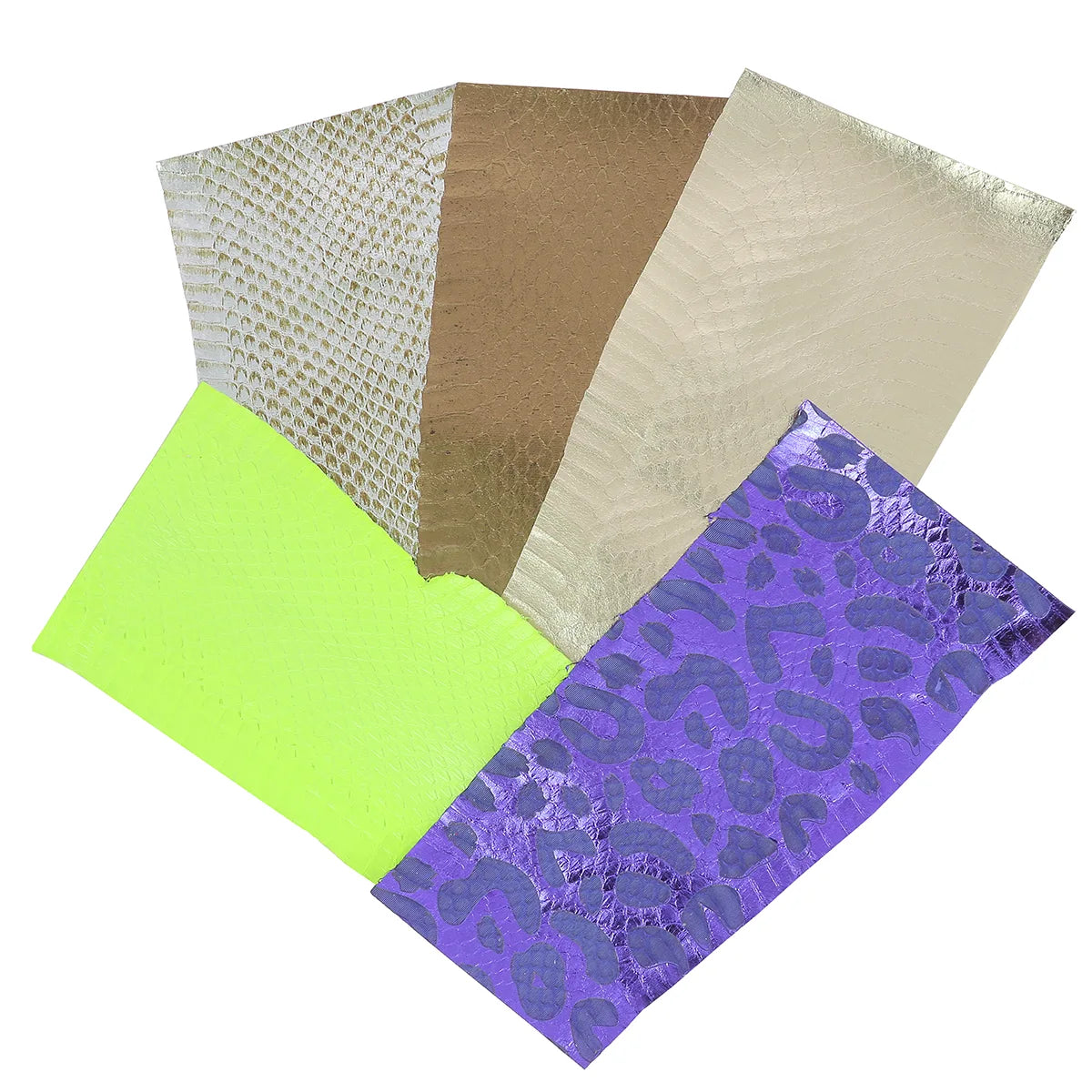 Peau de serpent Élaphe colorés, longueur 20cm, pour fabrication d'articles en cuir.