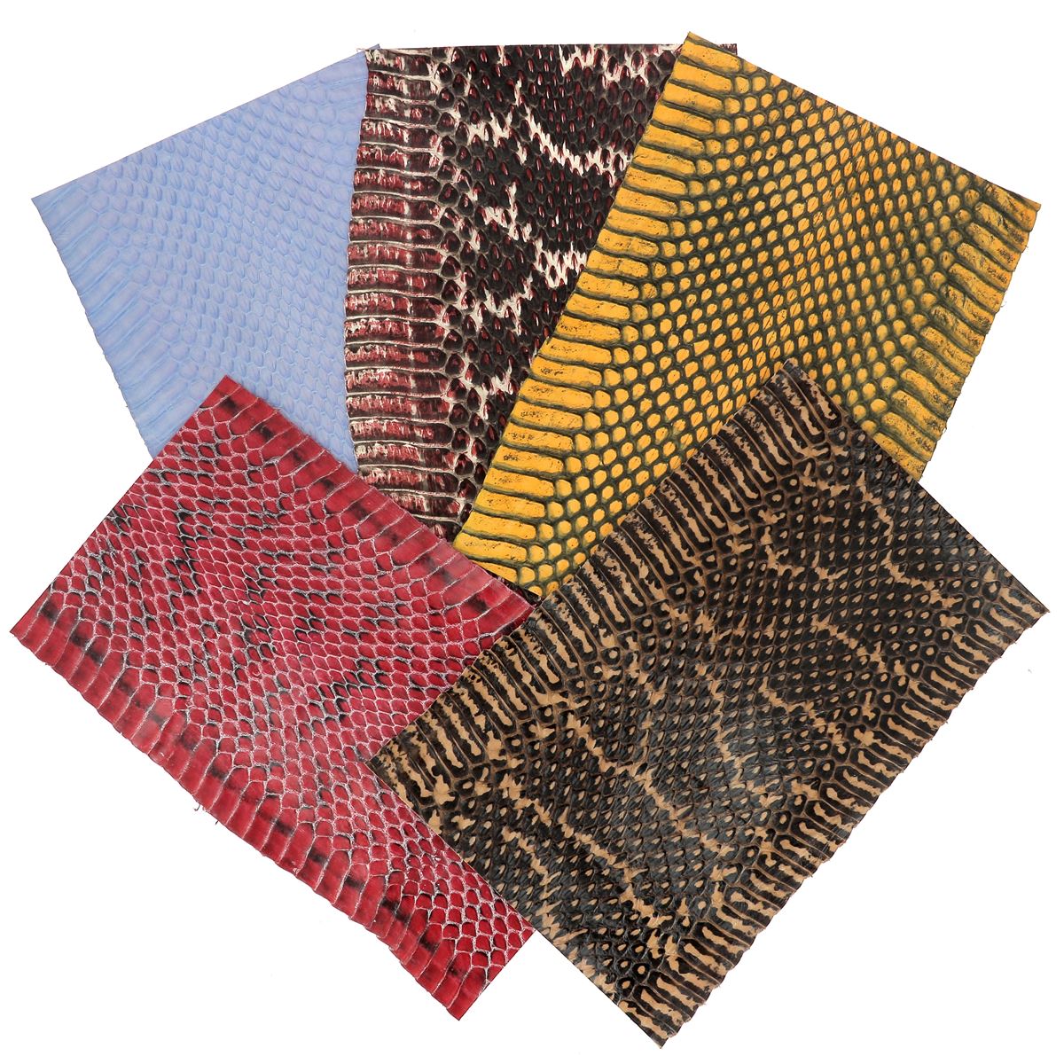 Lot de 5 morceaux de cuir de serpent Élaphe colorés, 20cm, pour artisanat ou création, par Autres.