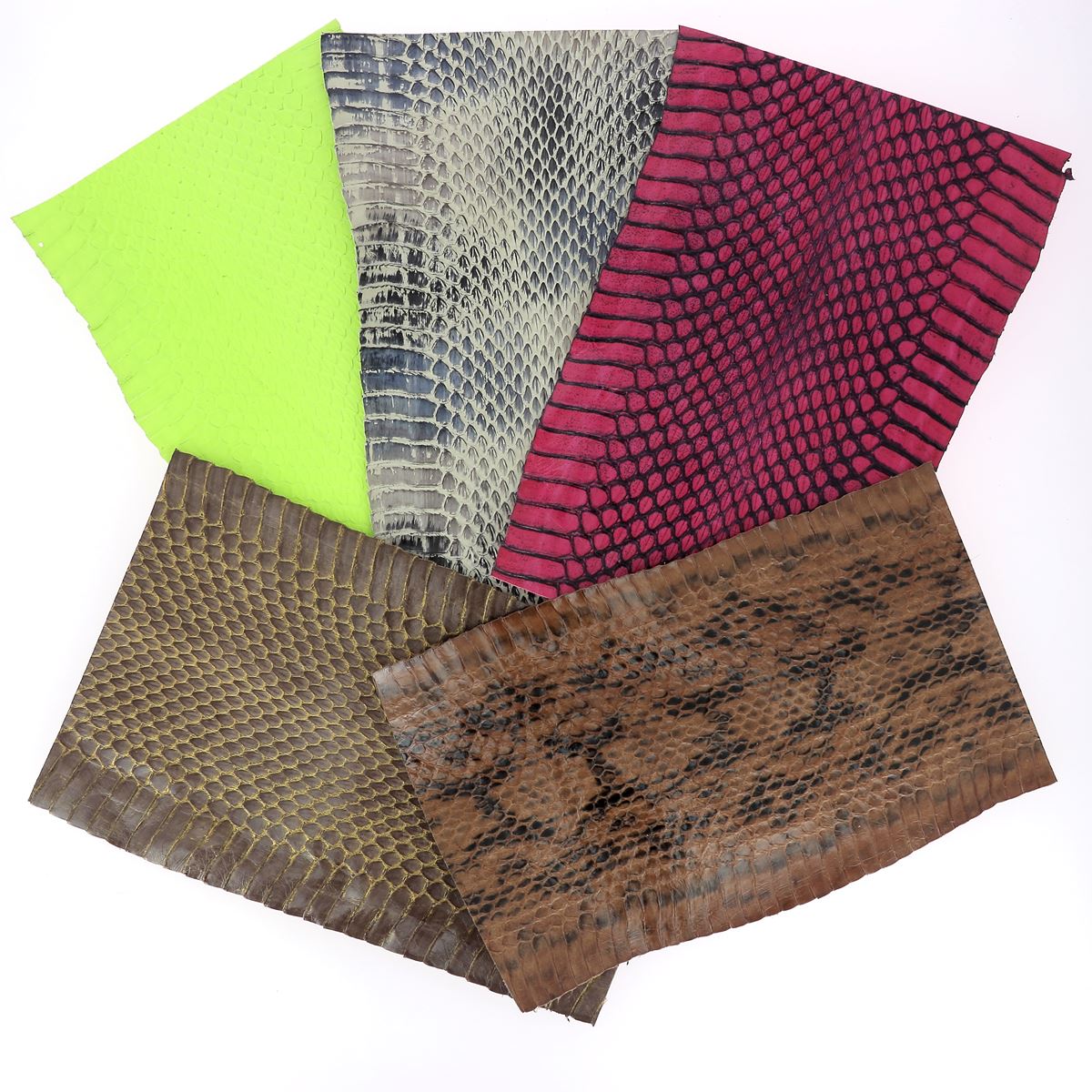 Cinq morceaux de cuir de serpent Élaphe colorés, longueur 20cm, pour artisanat et créations en cuir.
