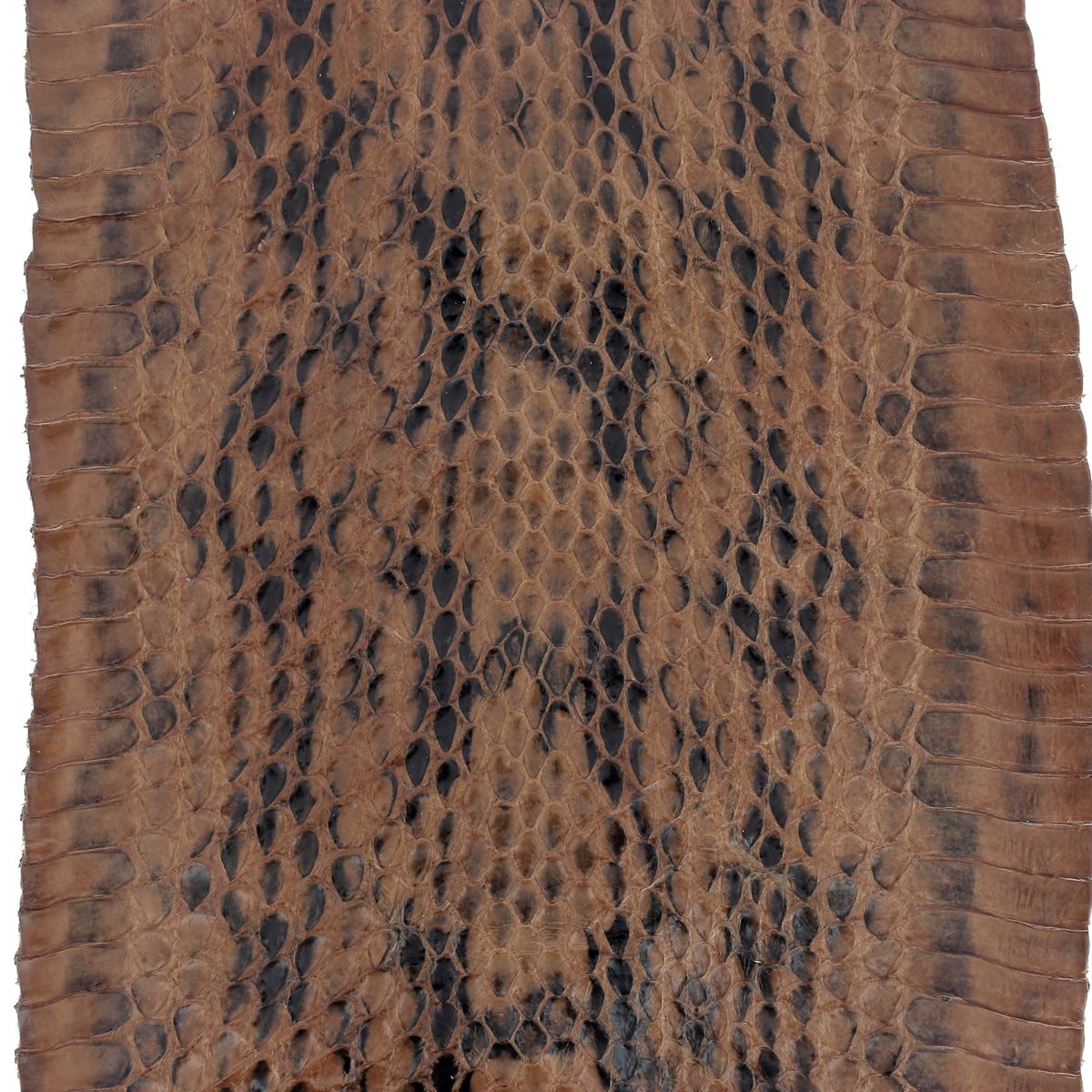 Lot de 5 morceaux de cuir de serpent Élaphe en couleurs diverses, 20cm chacun, pour artisanat et créations en cuir.