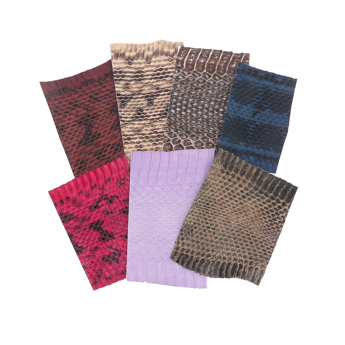 Lot de petits morceaux de cuir de serpent Élaphe en couleurs diverses, 50 cm, pour bricolage ou création artisanale.
