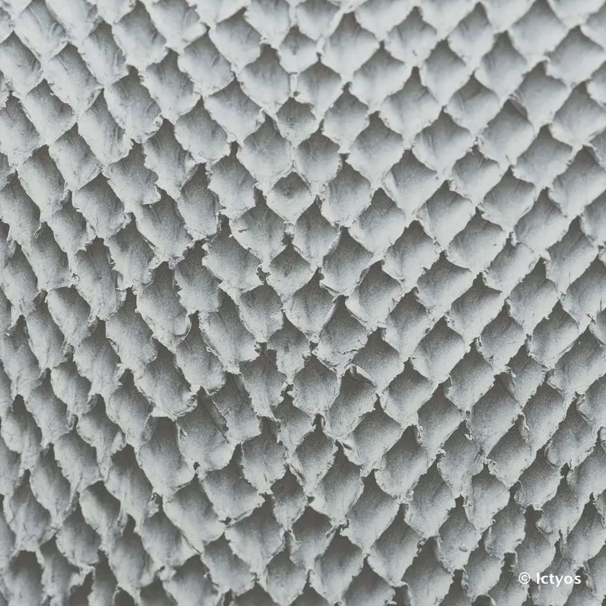Cuir de poisson aux écailles de saumon couleur noir et blanc. Cuir très souple idéal pour la création de projet haut de gamme
