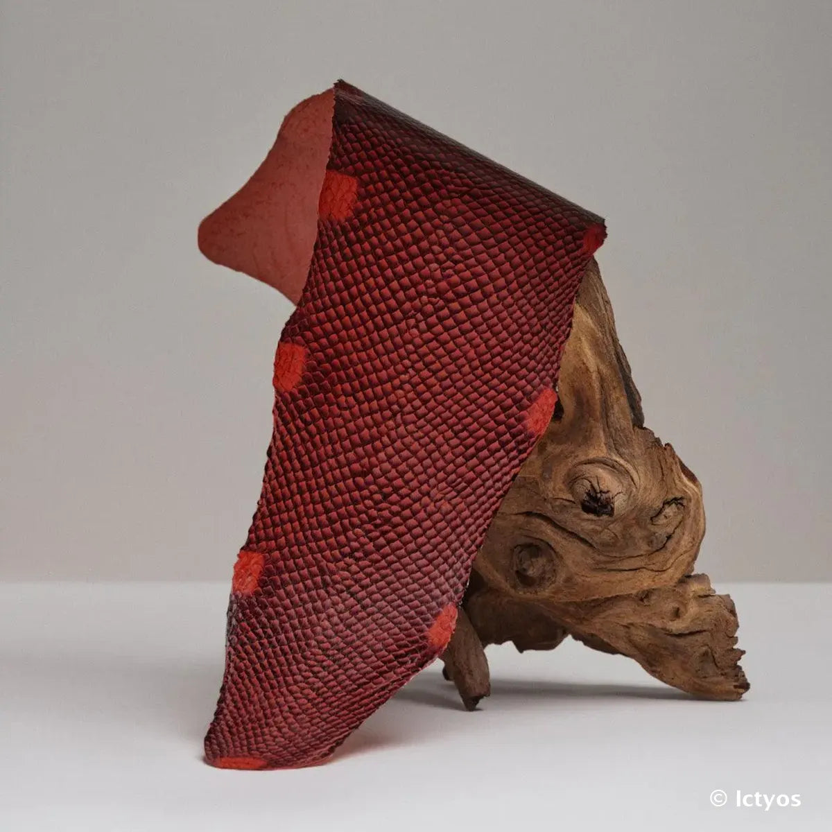 Peau de cuir de saumon collection dégradée couleur rouge carmine. Cuir de poisson idéal pour la création de bijoux, bracelet de montre, rabat de sac...