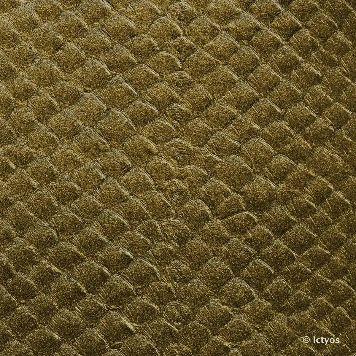 Cuir de saumon métallisé doré aux écailles et à la peau très souple. Cuir marin idéal pour la création de bracelet de montre, gainerie, maroquinerie...