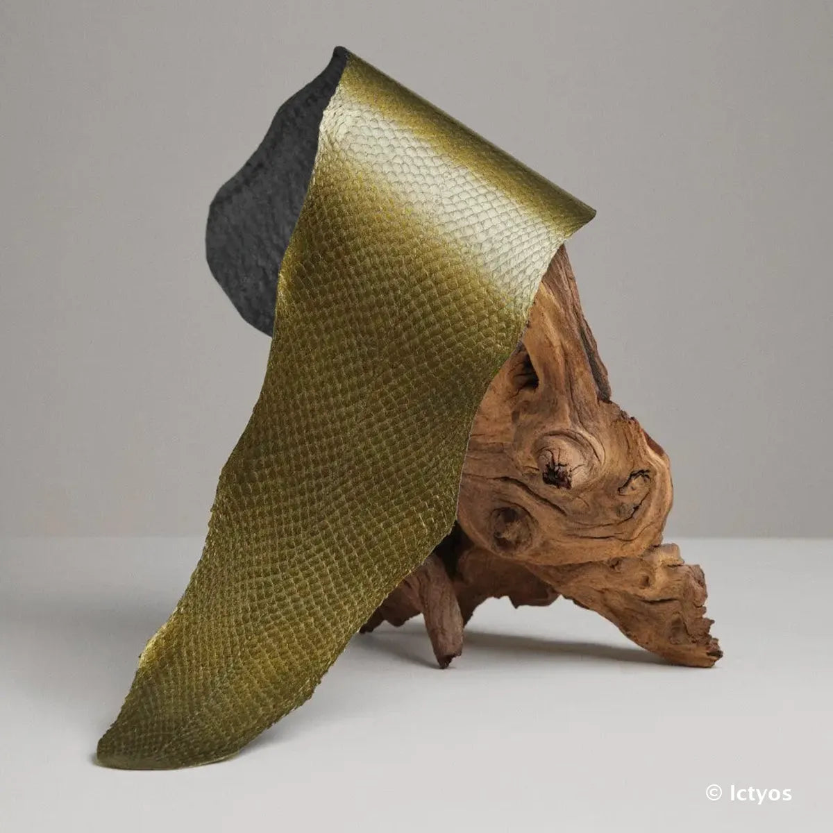 Cuir de saumon métallisé doré de la gamme Squama, tanné en France par Ictyos.