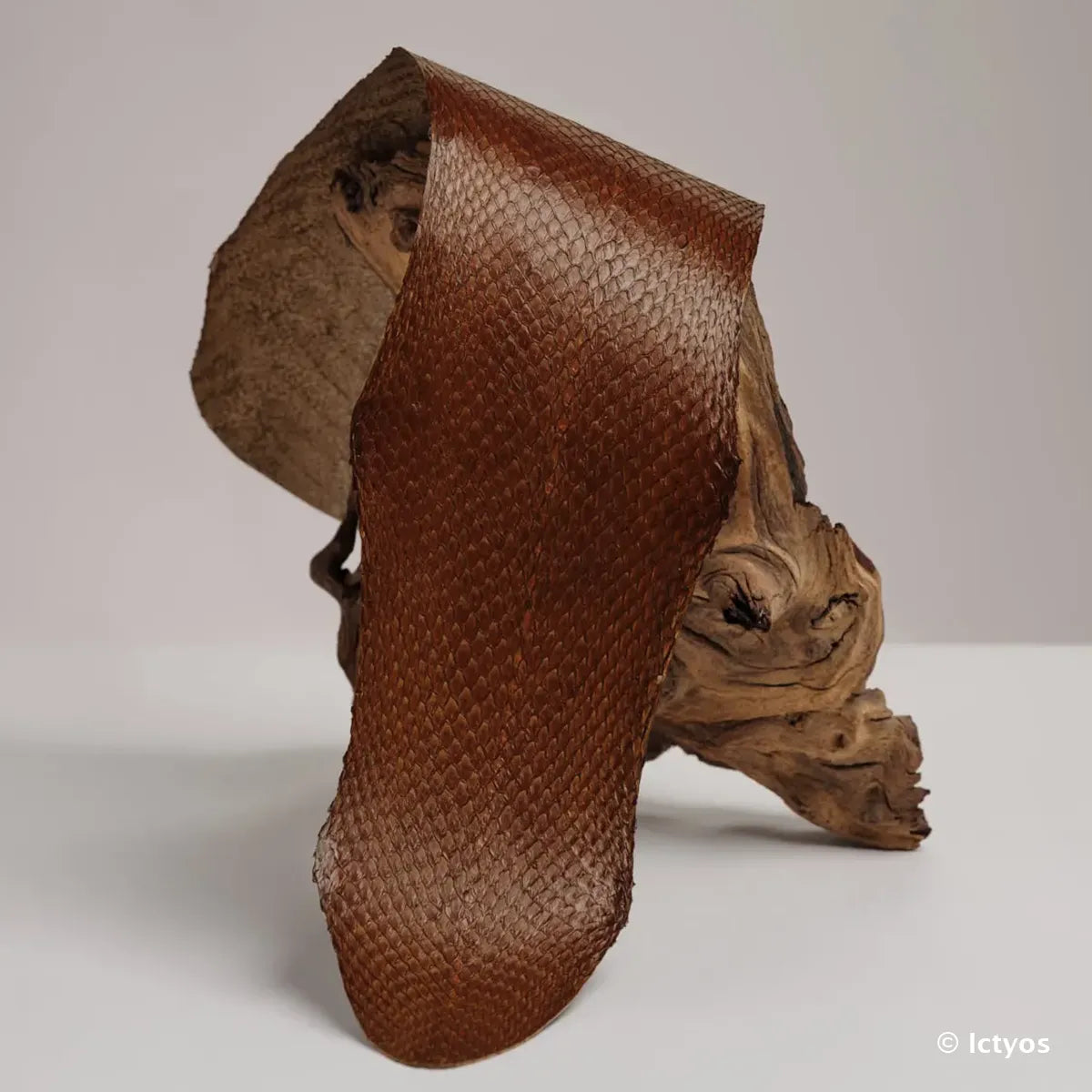 Cuir de saumon marron de la gamme Squama de la tannerie Ictyos. Cuir marin pour création de bracelet de montre, ornement, maroquinerie...