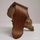 Cuir de saumon marron de la gamme Squama de la tannerie Ictyos. Cuir marin pour création de bracelet de montre, ornement, maroquinerie...