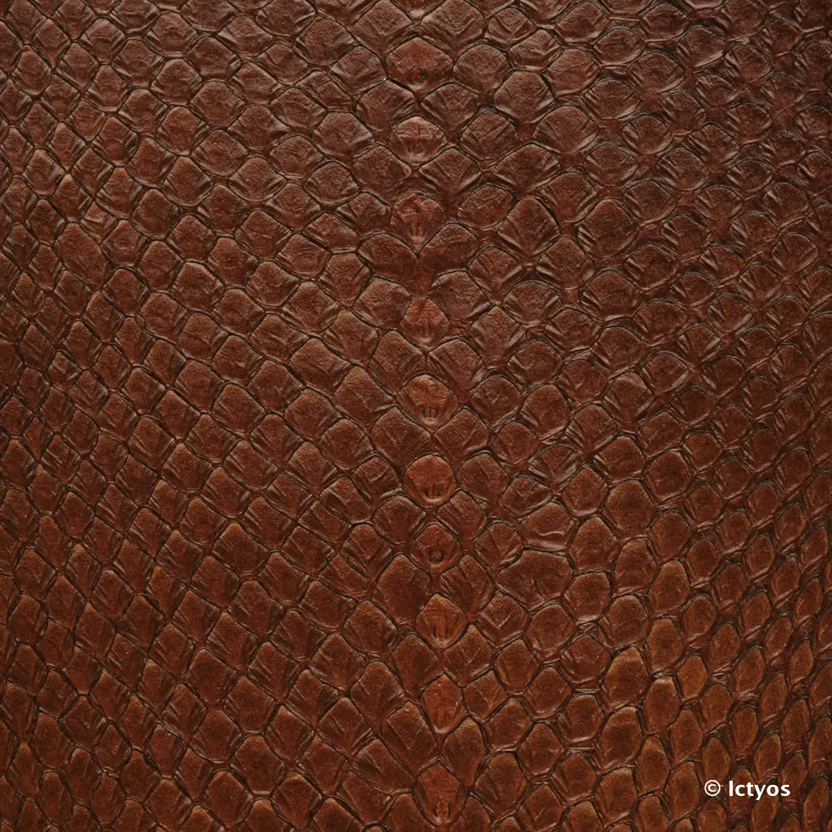 Cuir à écailles de saumon marron tourbe. Cuir de poisson finition brillante pour réaliser des bijoux, bracelets de montre...